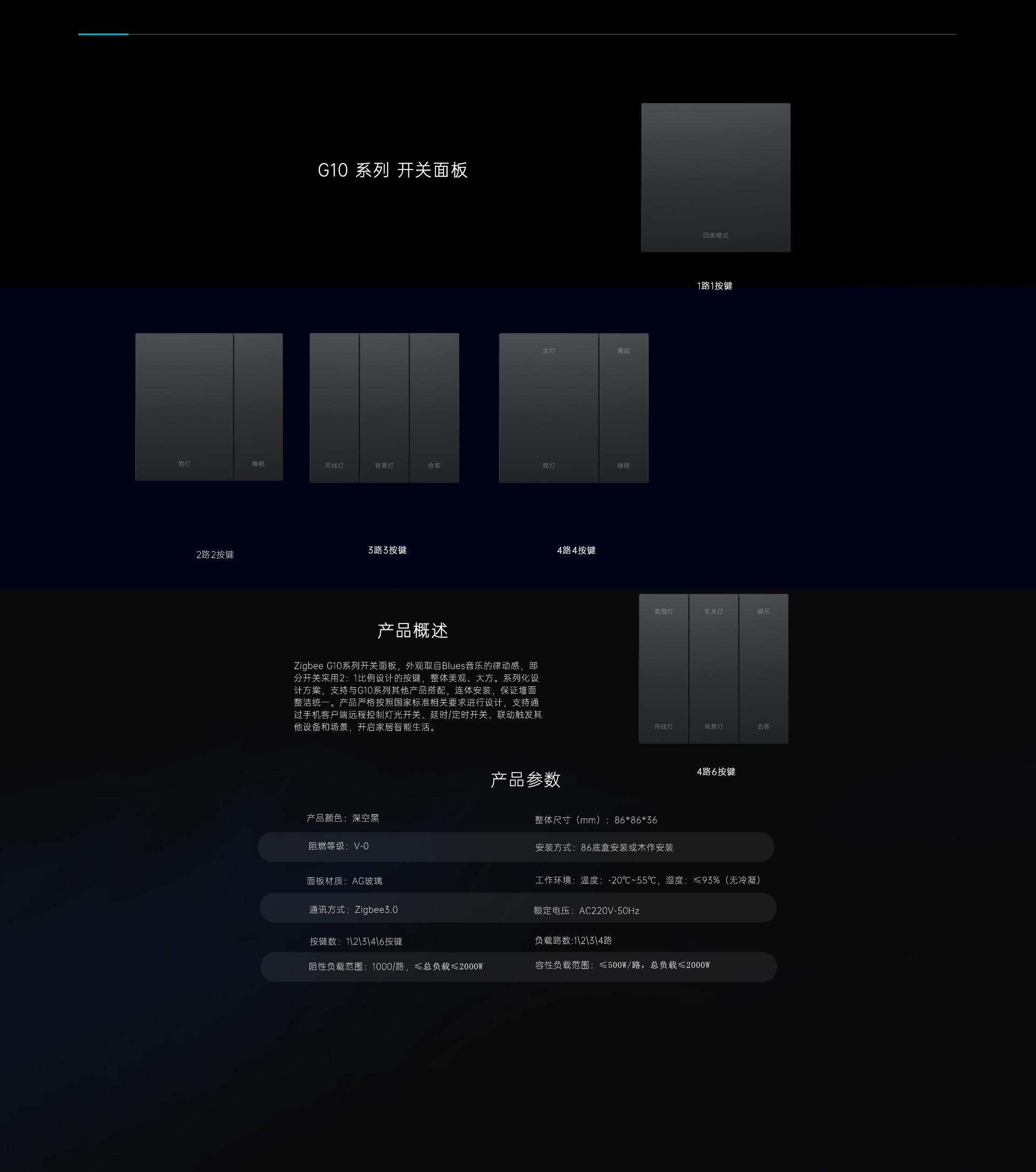 G10系列 开关面板
